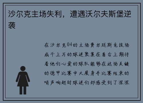 沙尔克主场失利，遭遇沃尔夫斯堡逆袭